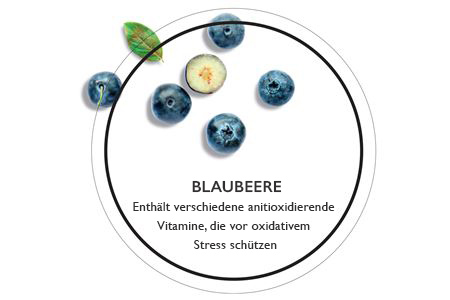 blaubeere enthält verschiedene antioxidierende Vitamine